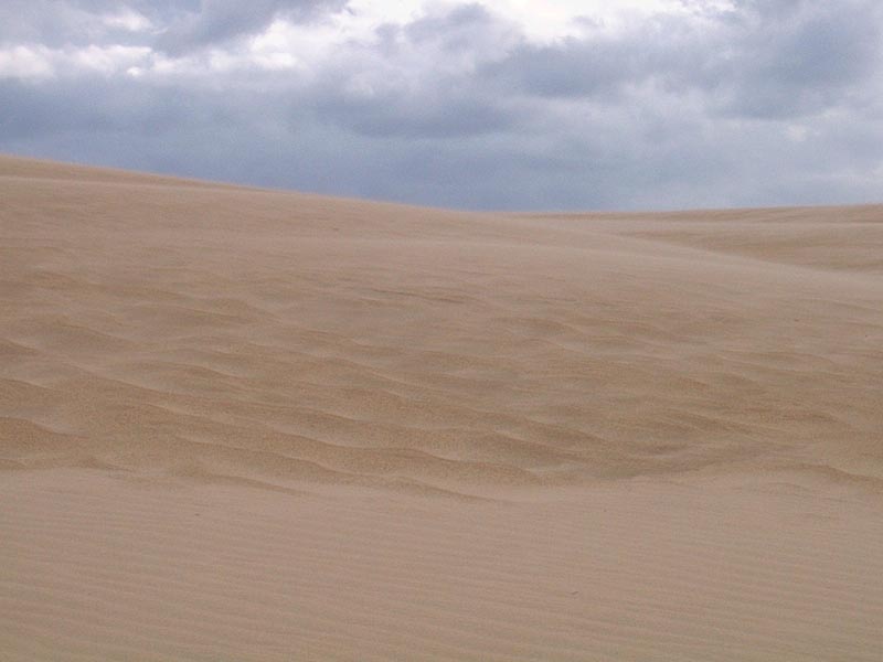 Jockey’s Ridge State Park