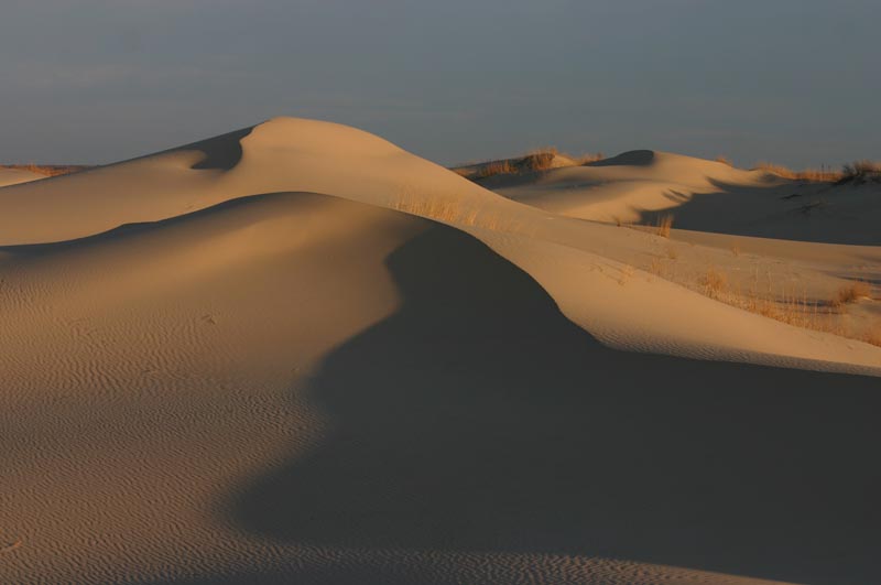 Monahans Sandhills at Sunrise