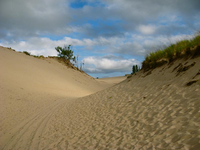 Warren Dunes State Park